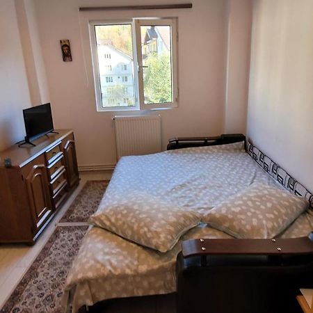Patricia Apartment Sinaia Kültér fotó