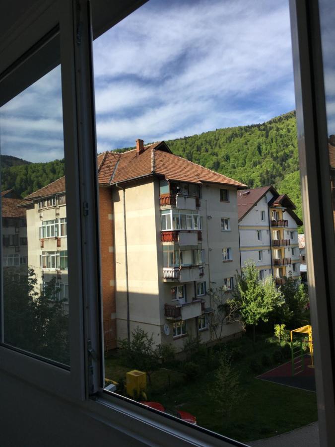 Patricia Apartment Sinaia Kültér fotó