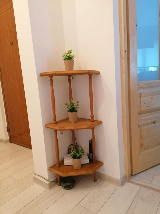 Patricia Apartment Sinaia Kültér fotó